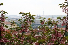 Spring in Prag
