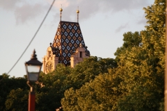 Střecha brandýského zámku ve světle zapadajícího slunce :-)