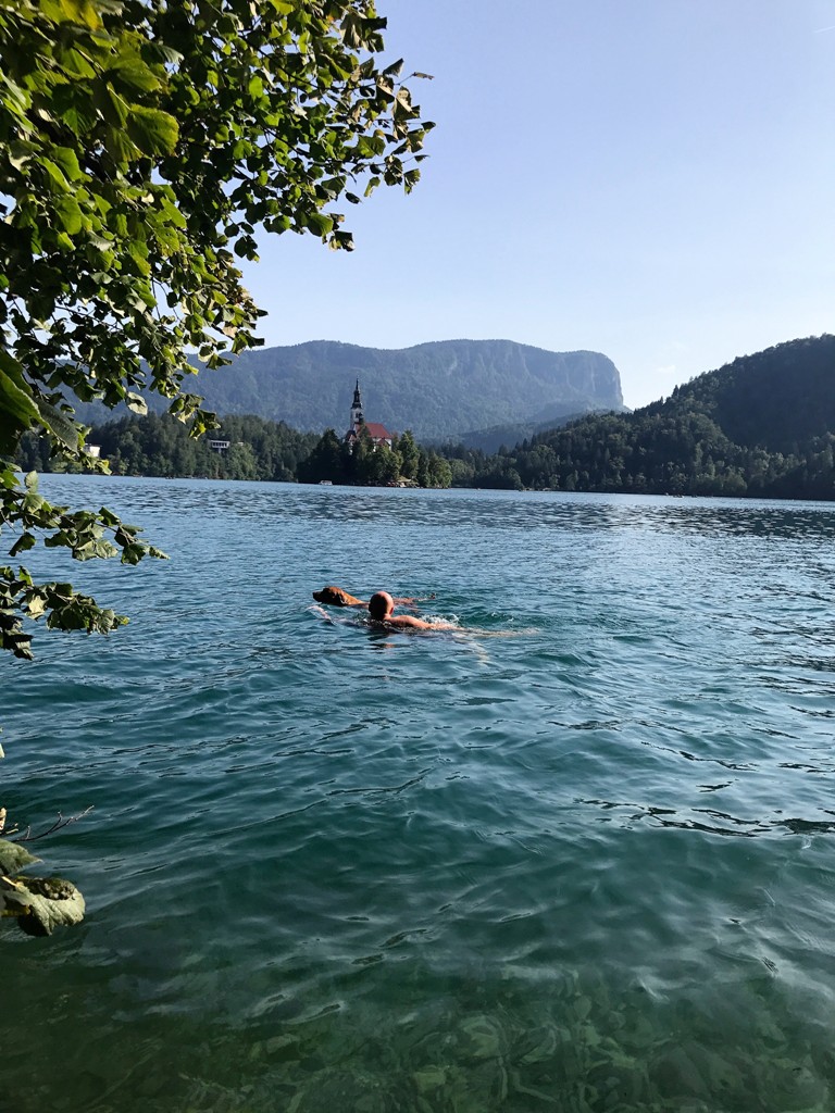 Jezero Bled.