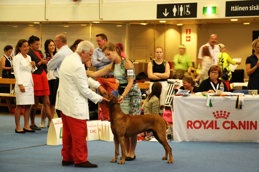 World dog show Helsinki 2014
