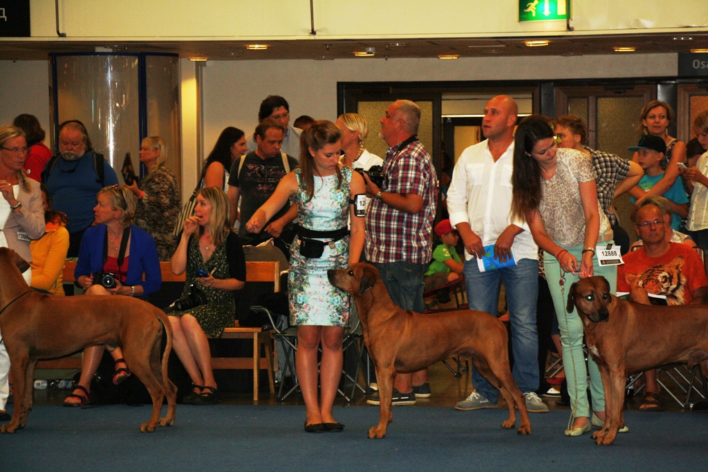 World dog show Helsinki 2014